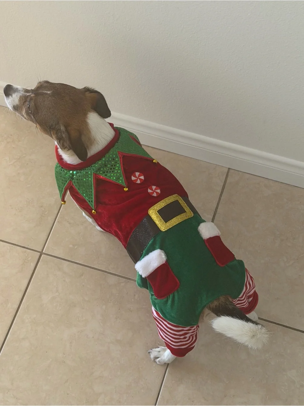 Cute Christmas Elf Pet Costume – Festive Holiday Dog Jumpsuit with Jingle Bells